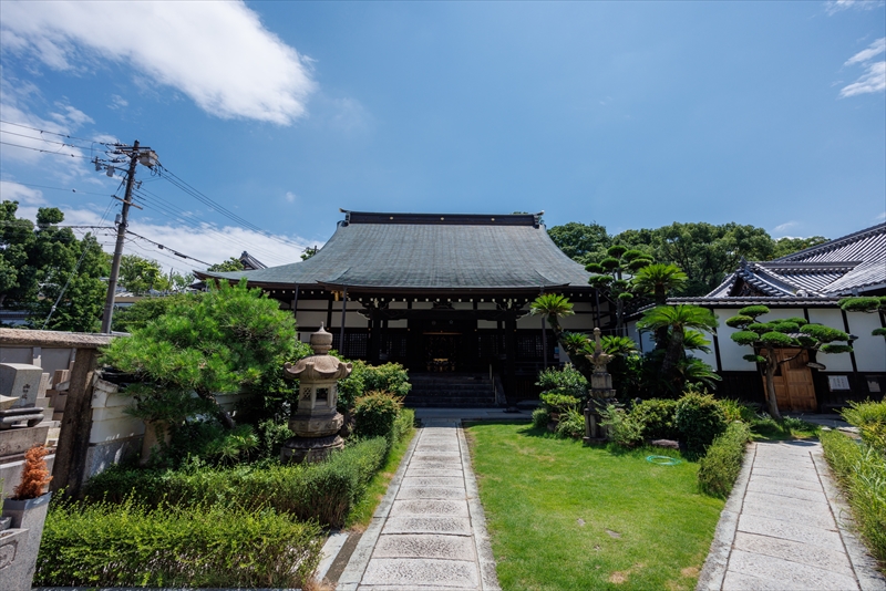 龍と観音さんのお寺浄土宗・金台寺|お墓・永代供養・葬儀・法要