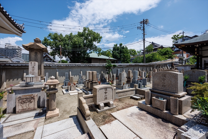 龍と観音さんのお寺浄土宗・金台寺|お墓・永代供養・葬儀・法要