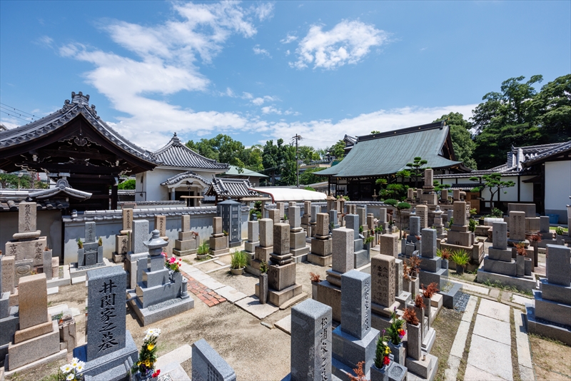 龍と観音さんのお寺浄土宗・金台寺|お墓・永代供養・葬儀・法要