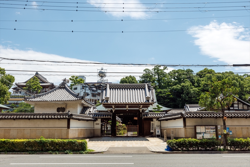 龍と観音さんのお寺浄土宗・金台寺|お墓・永代供養・葬儀・法要