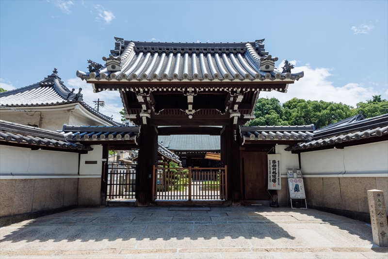 龍と観音さんのお寺浄土宗・金台寺|お墓・永代供養・葬儀・法要