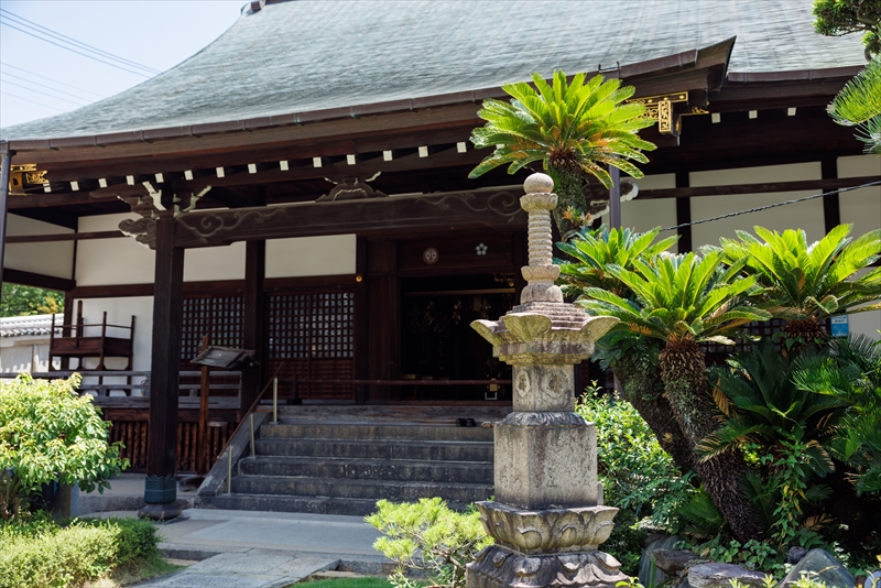 龍と観音さんのお寺浄土宗・金台寺|お墓・永代供養・葬儀・法要