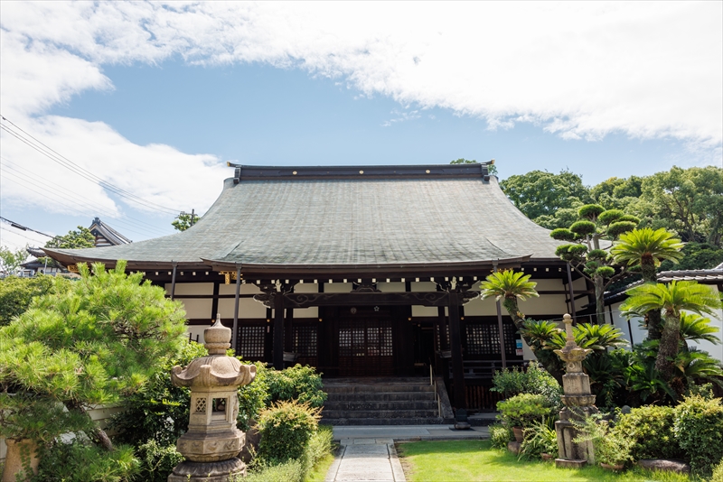 龍と観音さんのお寺浄土宗・金台寺|お墓・永代供養・葬儀・法要