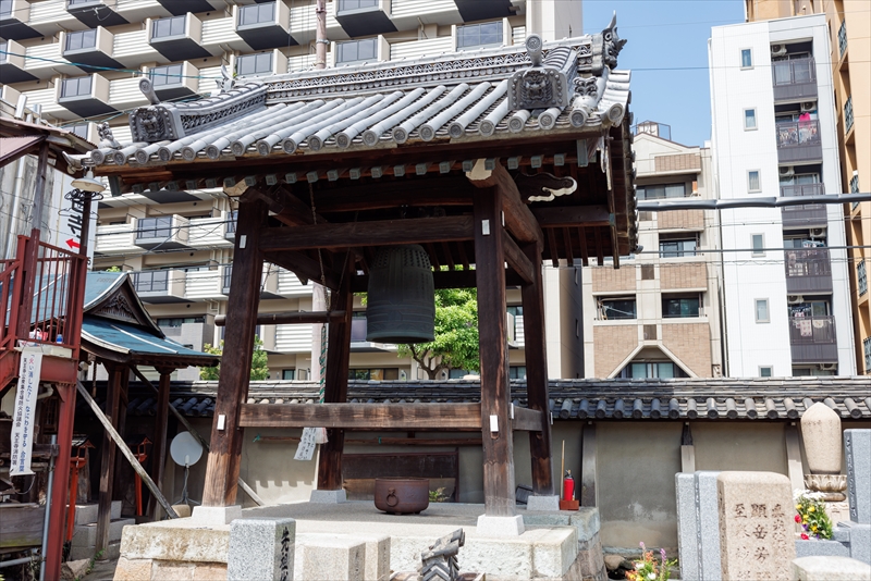 龍と観音さんのお寺浄土宗・金台寺|お墓・永代供養・葬儀・法要