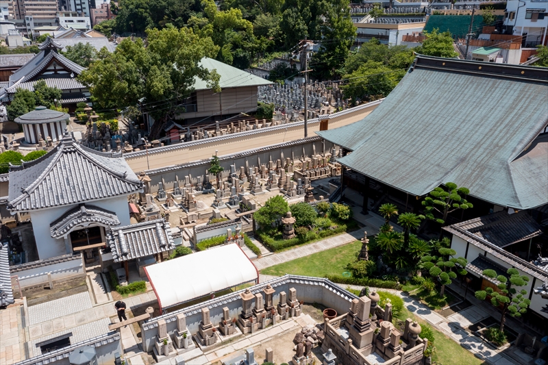 龍と観音さんのお寺浄土宗・金台寺|お墓・永代供養・葬儀・法要